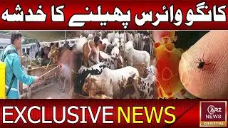 CANGO Virus Alert Before Eid-ul-Adha | NIH Issues Emergency Advisory | ARZ News Digital