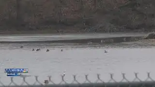 Canton teen leads winter bird walks