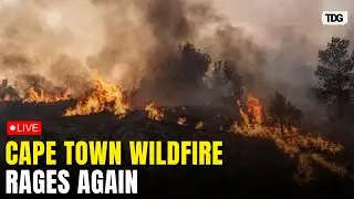 Cape Town wildfire LIVE: Strong Winds Reignite Cape Town Wildfire as Firefighting Struggle