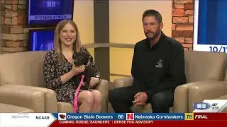 Capital Humane Society close to record breaking year for adoptions