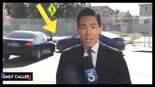 Car Crash Interrupts Reporter