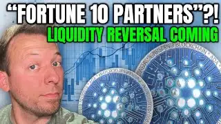 CARDANO ADA - "FORTUNE 10 PARTNERS"?!! LIQUIDITY REVERSAL COMING!