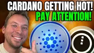 CARDANO IS GETTING HOT!!! ADA, NIGHT, AND CARDANO WILL THRIVE!