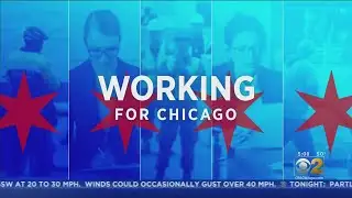 Career Coach: Behavioral Questions