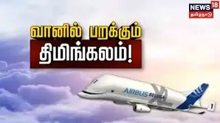 Cargo Airbus Beluga | வானில் பறக்கும் திமிங்கலம் - பெலூகா விமானத்தின் சிறப்புகள் | Tamil News