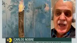 Carlos Nobre, Climate Scientist on Amazon Fire