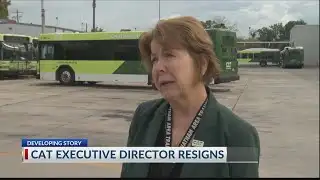 CAT executive director resigns