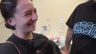 Cat found alive and safe after Florida condo building collapse