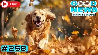 Cat Returns After 400 Days + Bikers Feed Thousands ✨ 🐱 | GOOD NEWS – Infinite Hope #258