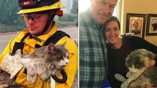 Cat reunited with family after wildfire