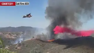 Cat sanctuary avoids threat from Valley Fire