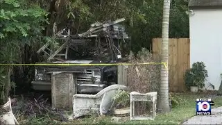 Cat saves Hollywood homeowner whose house erupted in flames