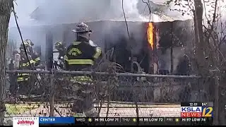 Cat saves man by waking him during fire