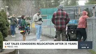 Cat Tales considers relocation after 35 years