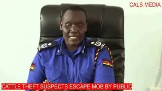 CATTLE THEFT SUSPECTS ESCAPE DEATH THROUGH MOB IN NYANDARUA