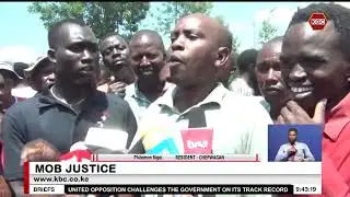 Cattle theft suspects lynched in Kericho, 6 stolen cows recovered