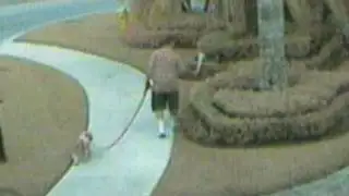 Caught in the Act: Nasty Neighbor Fights