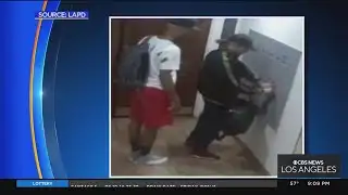 Caught on Camera: man makes way into apartment building, steals things from mail box