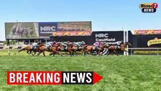 Caulfield Cup Favourite Half Yours Ready for the Ultimate Test