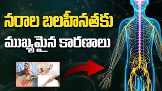 నరాల బలహీనతకు ముఖ్యమైన కారణాలు | Causes of Nerve Weakness | Dr. Laxminadh Sivaraju
