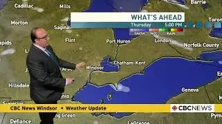 CBC Windsor News: Jan. 28,  2026