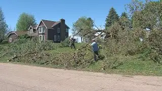 CBS 58: Juneau Tornado Clean Up