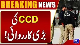 CCD in Action | Big Operation | Latest Update | Dunya News
