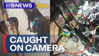 CCTV footage captures thieves breaking into Melbourne store | 9 News Australia