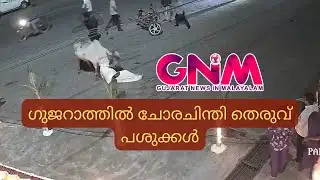 ഗുജറാത്തിൽ മലയാളികളെ ആക്രമിച്ചു. അഞ്ചു പേർക്ക് പരിക്ക്. CCTV visuals from Gujarat.