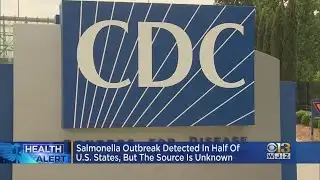 CDC Investigating Salmonella Outbreak