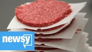 CDC investigating salmonella outbreak