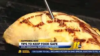 CDC issues Food Safety Warning after salmonella outbreak