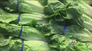 CDC Issues Nationwide Warning Not To Eat Romaine Lettuce