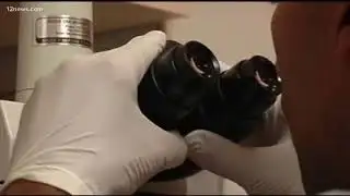 CDC issues warning about eating romaine lettuce