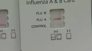 CDC report nationwide uptick in flu cases