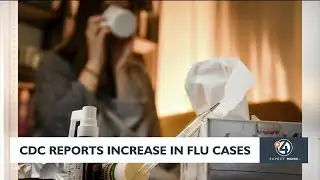 CDC reports increase in flu cases