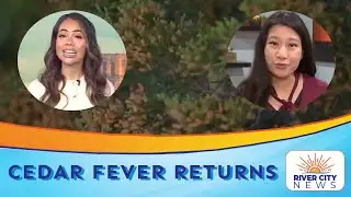 Cedar Fever Peaks in Central Texas, Doctors Share Allergy Relief Tips