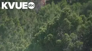 Cedar pollen spikes across Austin