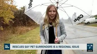 Central Alberta animal rescue crowded with surrendered pets