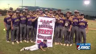 Central DeWitt and Pleasant Valley advance to State Baseball
