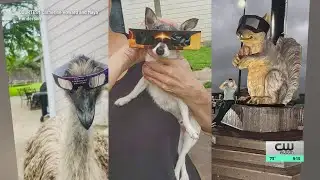 Central Texans experience 2024 solar eclips