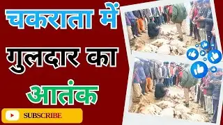 Chakrata - Leopard terror