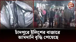 চাঁদপুরে ইলিশের বাজারে আমদানি বৃদ্ধি পেয়েছে | Chandpur Hilsa Fish | Channel 24