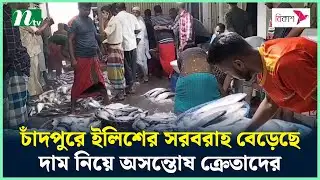 চাঁদপুরে ইলিশের সরবরাহ বেড়েছে, দাম নিয়ে অসন্তোষ ক্রেতাদের | Chandpur Ilish | NTV News