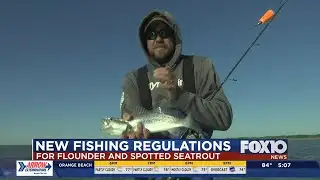 Changes to limits for some inshore fish species