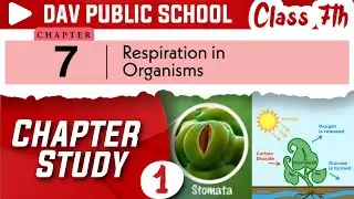 Chapter 7 | Respiration in Organisms | Class 7 DAV Science | Chapter Study | (Part 1)  🏜️🏝️🏞️