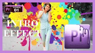 Character Introduction Freeze Effect in Adobe Premier Pro.