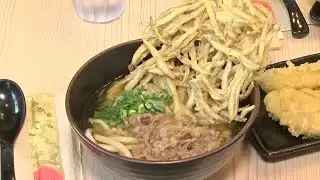 Cheap Eats: Udon Gama-Dashi