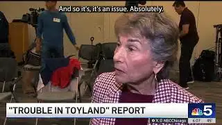 Cheap Imported Toys May Pose a Safety Risk, Schakowsky Warns