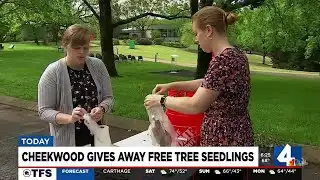 Cheekwood gives away free tree seedlings